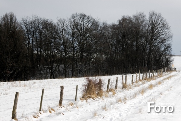 Niederbrechen im Winter