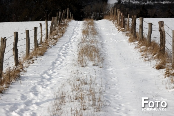 Niederbrechen im Winter