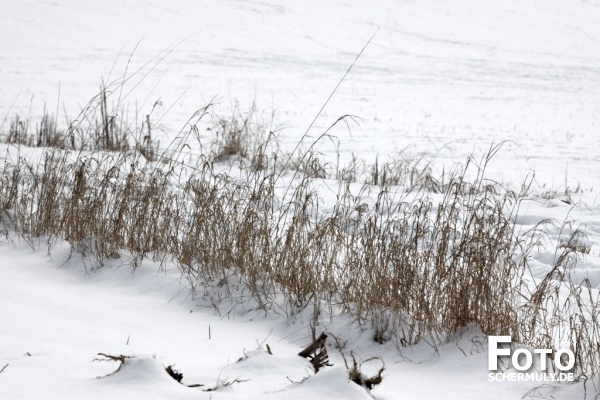 Niederbrechen im Winter