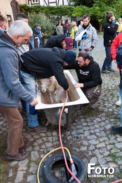 2019.10.10_The best of Hammelwaschen KB 2019 Niederbrechen (18 von 106)