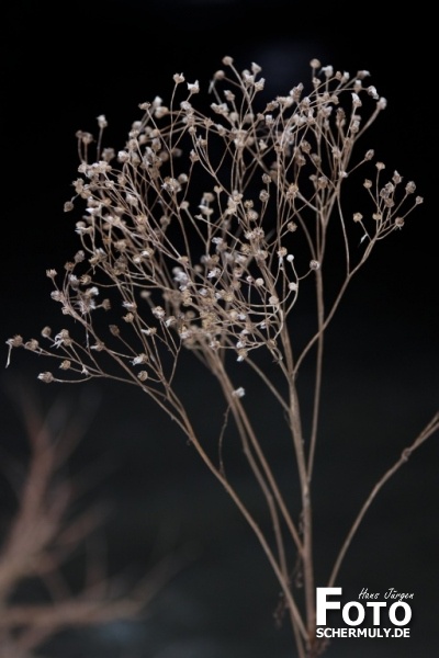 Niederbrechen im Winter