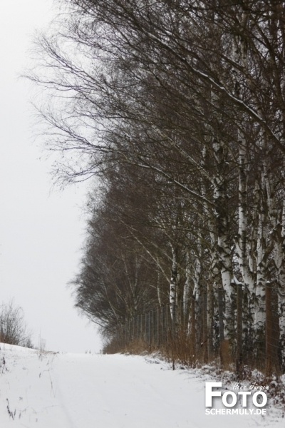 Niederbrechen im Winter