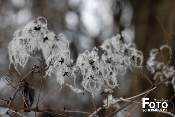 Niederbrechen im Winter