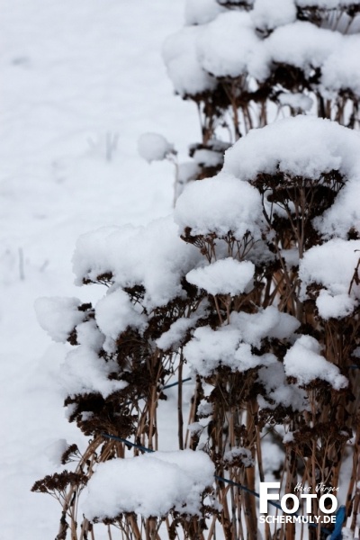 Niederbrechen im Winter